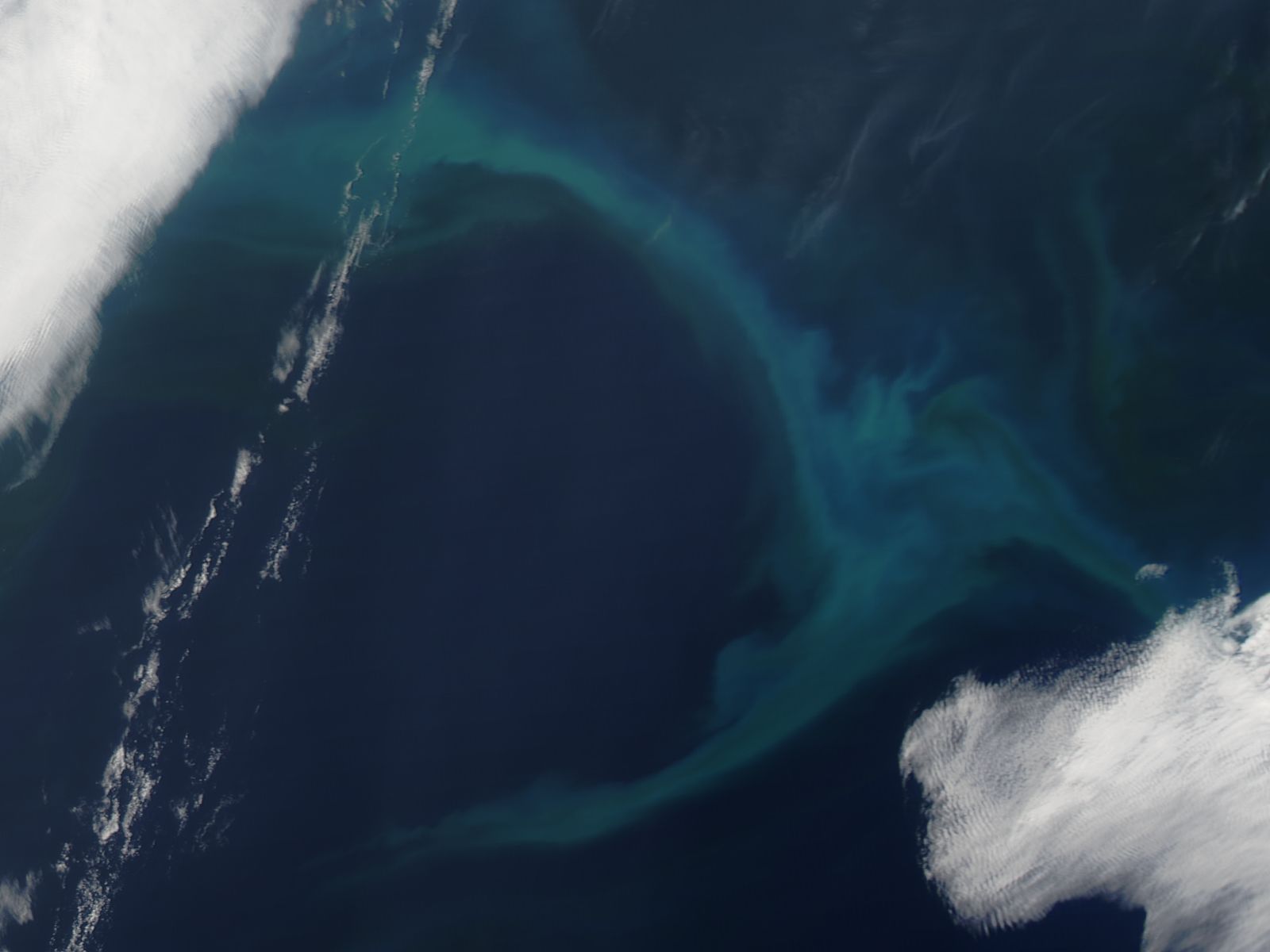 How the productivity of the ocean can be observed from space 