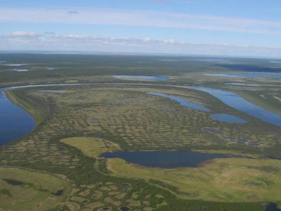Computer simulations show that only consistent climate protection measures will allow roughly 30 percent of the Siberian tundra to survive to mid-millennium.