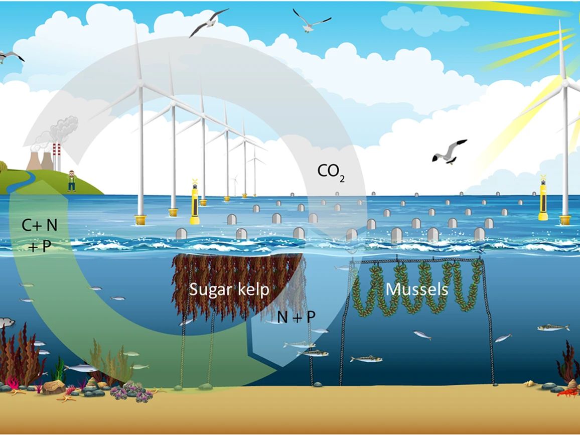 Multi-use of offshore wind farms with low-trophic aquaculture can help achieve global sustainability goals
