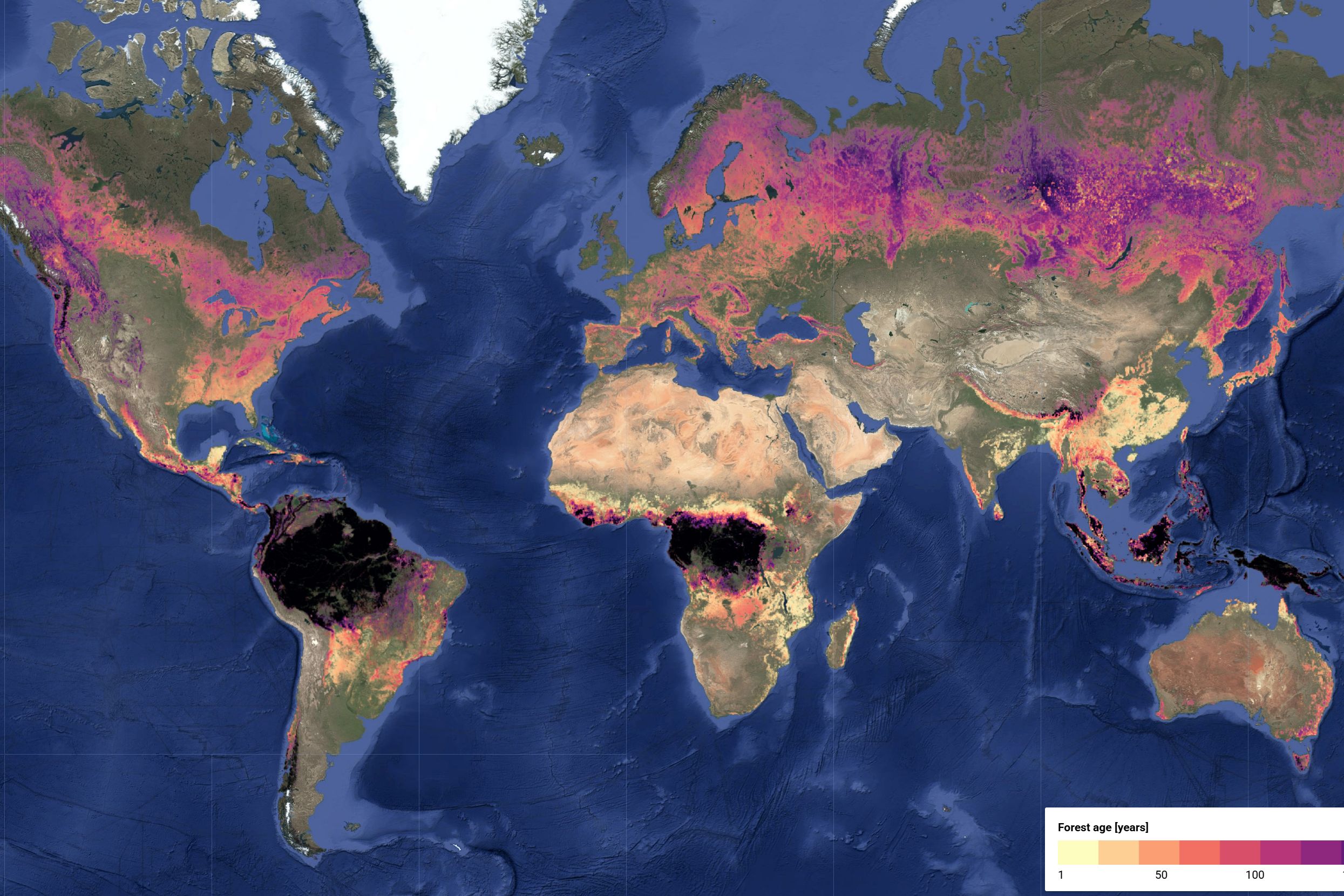 Störungen der Wälder verändern die Kohlenstoffbilanz der Welt