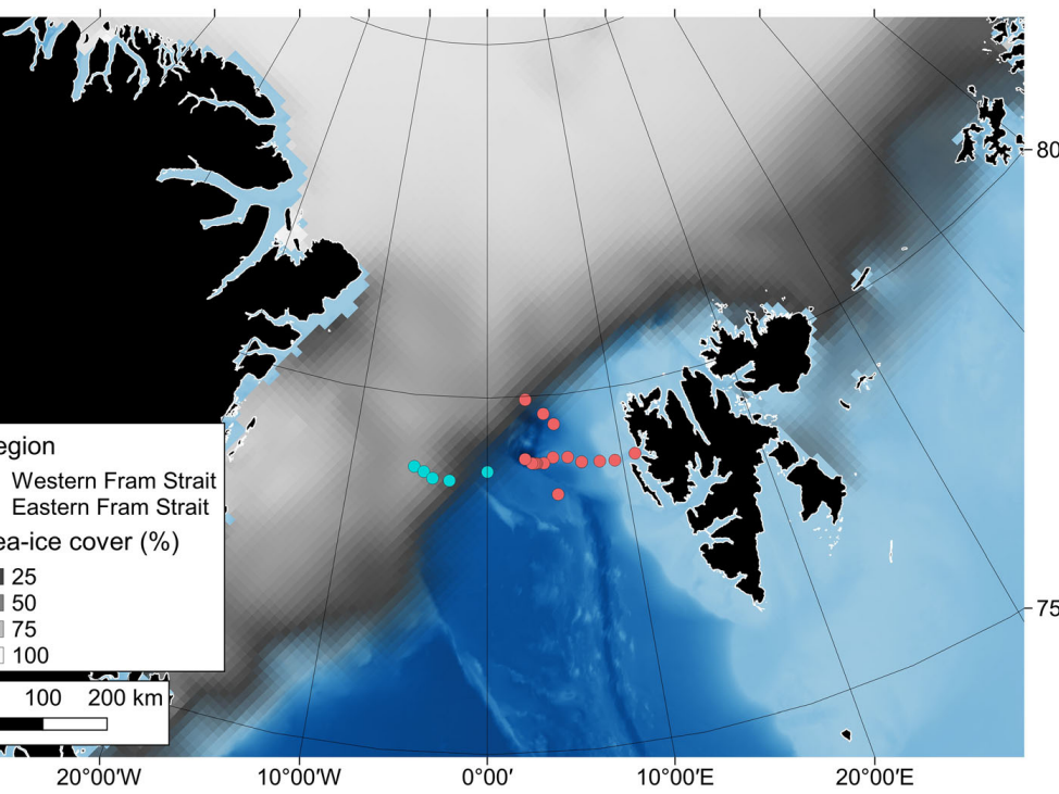 The Arctic summer microbiome across Fram Strait