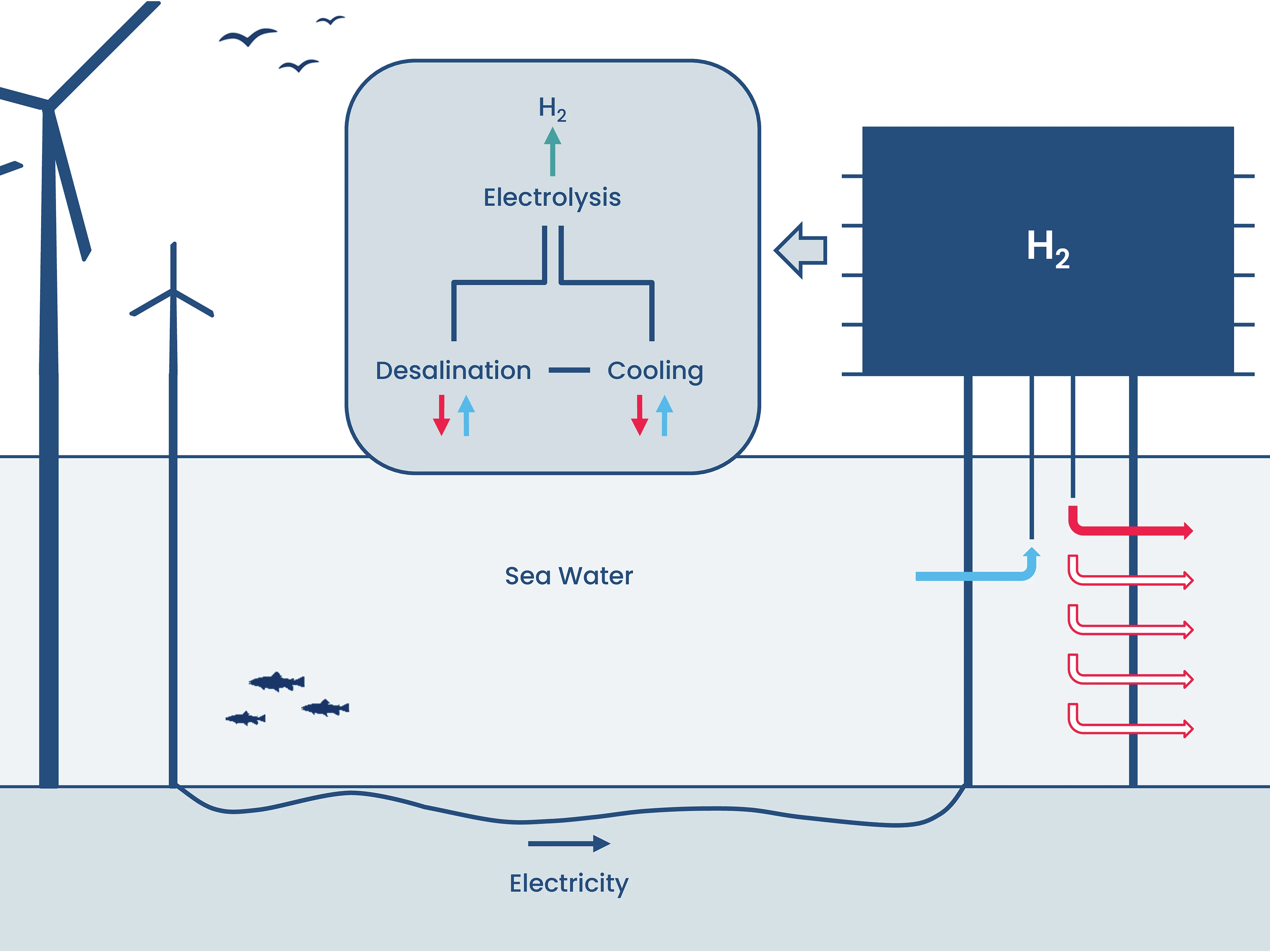 Wasserstoff auf See: Offshore-Produktion hinterlässt hydrographischen Fußabdruck in der Nordsee