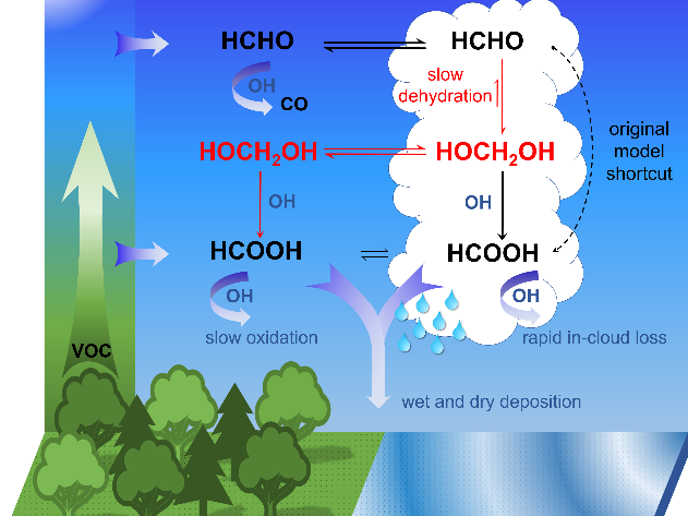 Organic acid in the atmosphere 