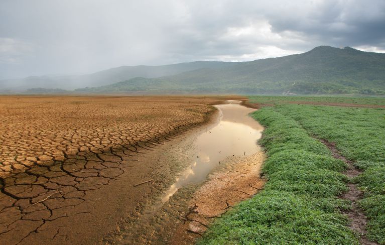 Landscape under pressure