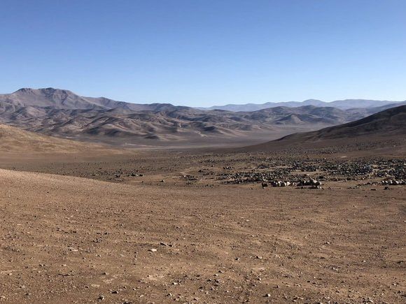 Survivalists in the extreme climate of the Atacama Desert